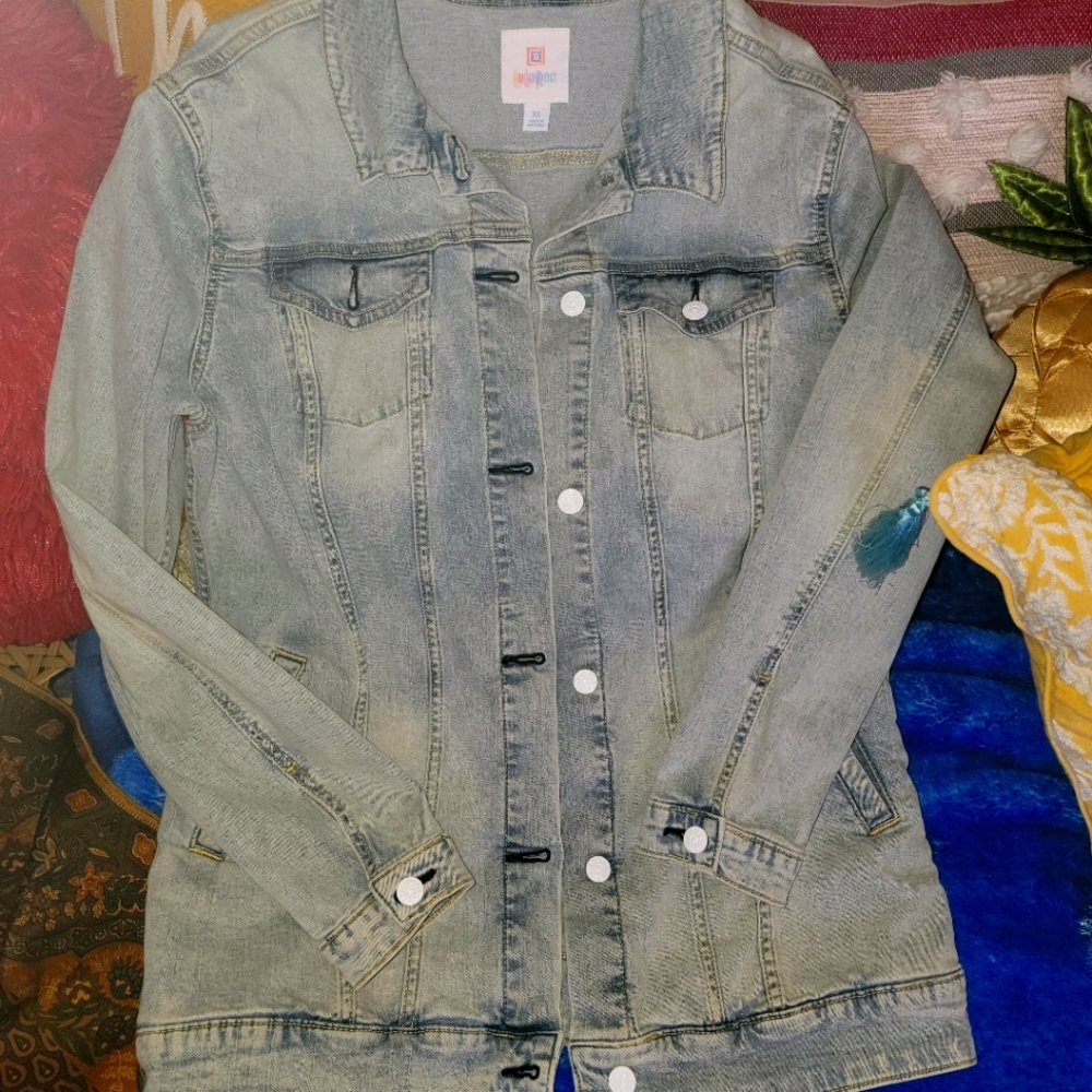 Lularoe jean jacket with unicorn embroidery